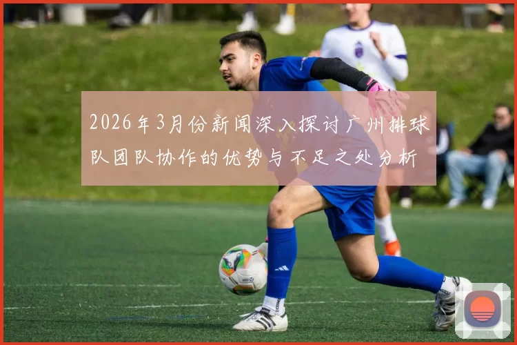 2026年3月份新闻深入探讨广州排球队团队协作的优势与不足之处分析